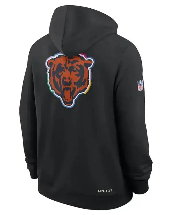 Chicago Bears 2025 Crucial Catch Hoodie