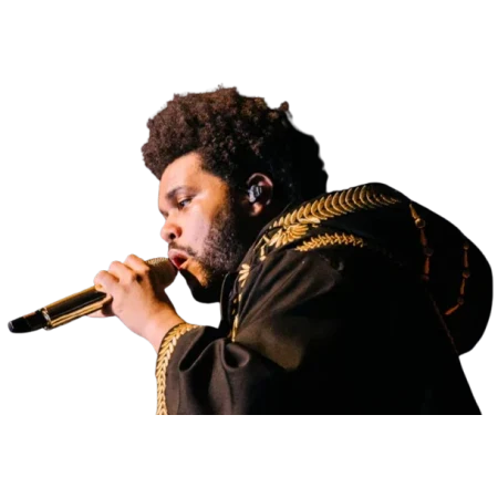 Hurry Up Tomorrow The Weeknd Golden Embroidered Hooded Coat Clanton Jacket