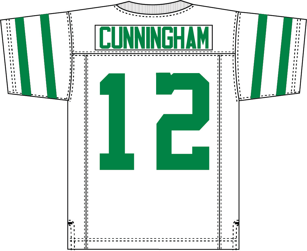 Philadelphia Eagles Randall Cunningham Legacy Jersey WorthVee