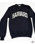 We Were Liars Emily Alyn Lind Harvard Sweatshirt Clanton Jacket