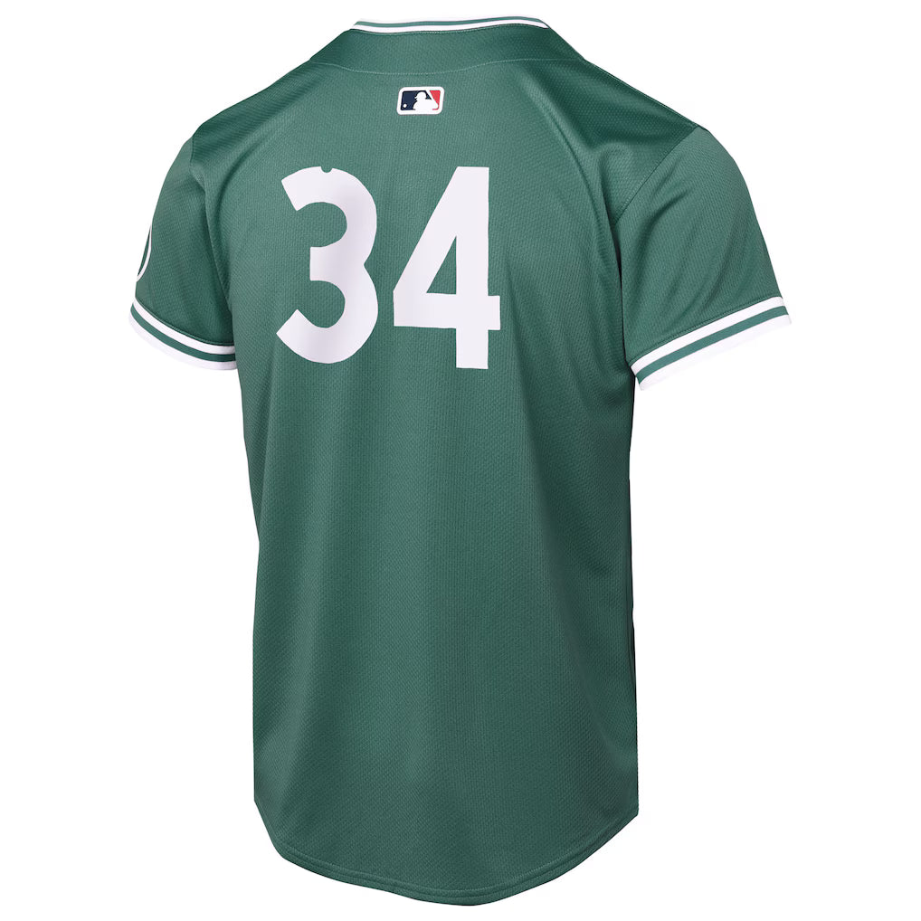 Youth Boston Red Sox David Ortiz Nike Green 2025 City Connect Limited Retired Player Jersey Kansas Jacket